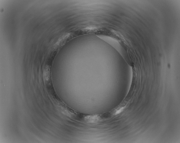 X0000068320133200605051606