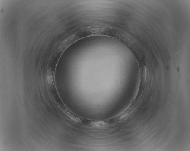 X0000068320137200605051606
