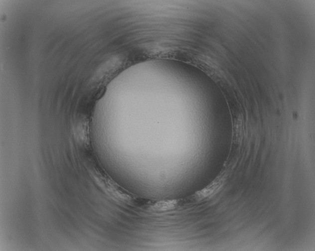 X0000068320138200605051606