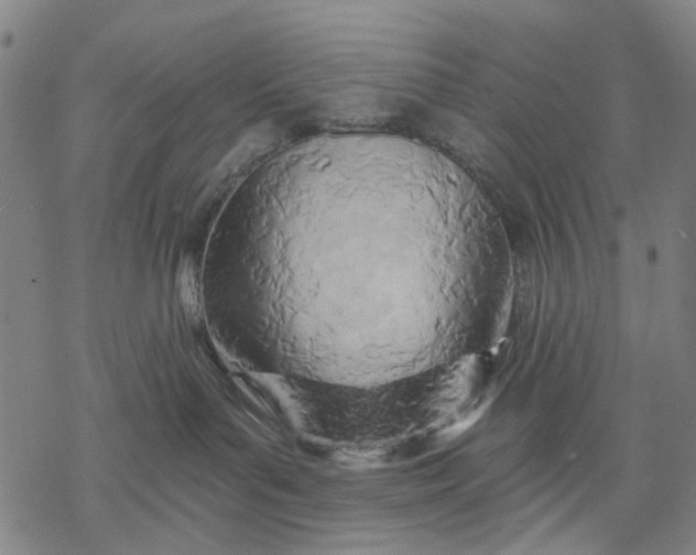 X0000068320143200605051606