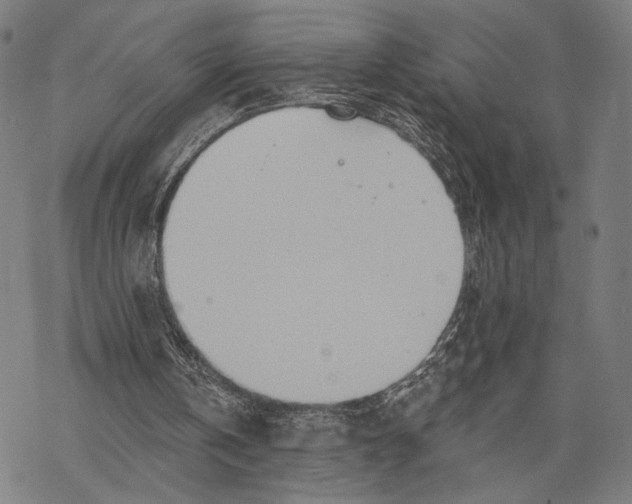 X0000068320146200605051605