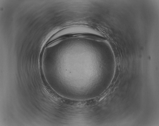 X0000068320148200605051605