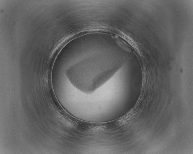 X0000068320155200605051605