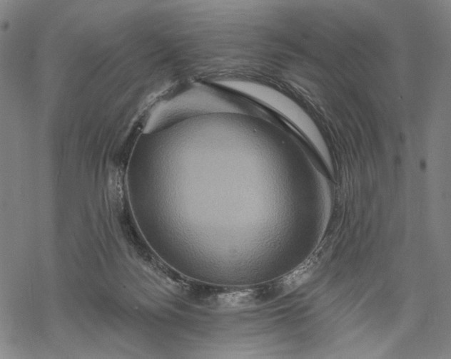 X0000068320172200605051605