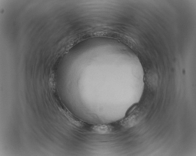 X0000068320181200605051606