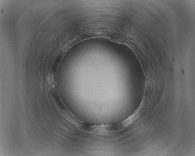 X0000068320182200605051606