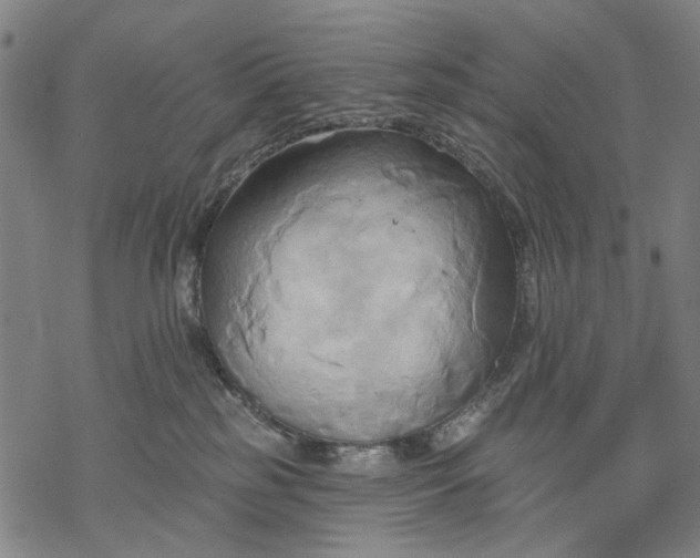 X0000068320185200605051606