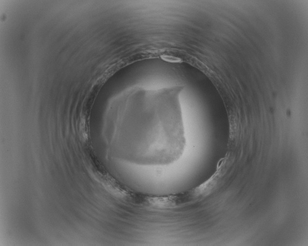 X0000068320187200605051606