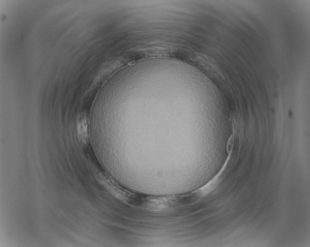 X0000068320190200605051606