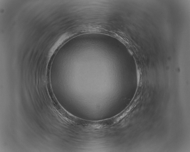 X0000068320195200605051605