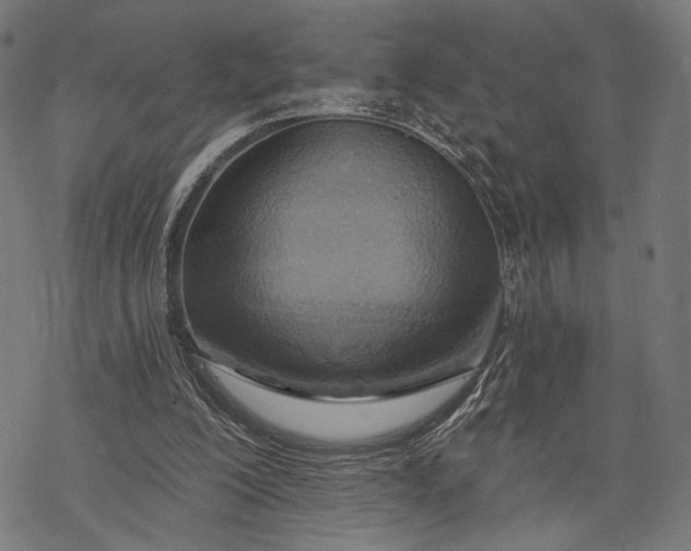 X0000068320200200605051605