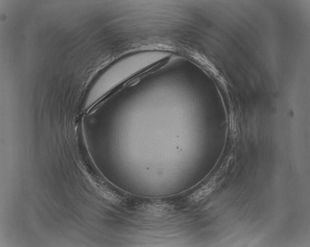 X0000068320201200605051605