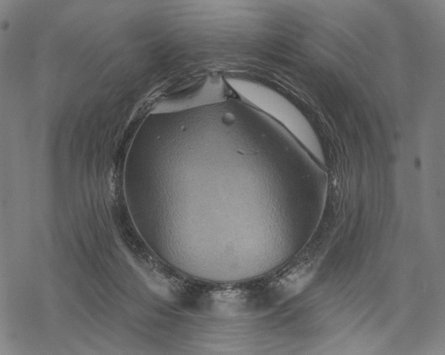 X0000068320216200605051605
