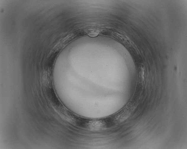 X0000068320218200605051605