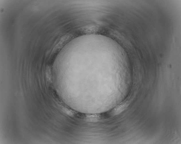 X0000068320240200605051604