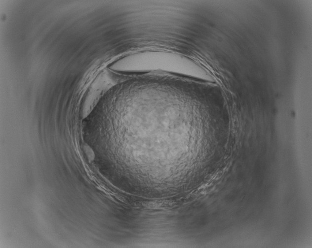 X0000068320241200605051603