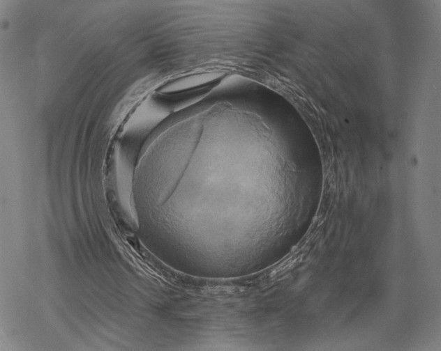 X0000068320242200605051603
