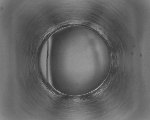 X0000068320253200605051604