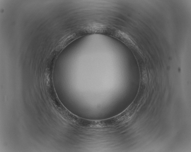 X0000068320259200605051604