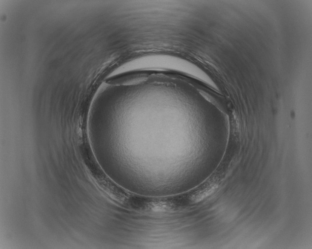 X0000068320264200605051604