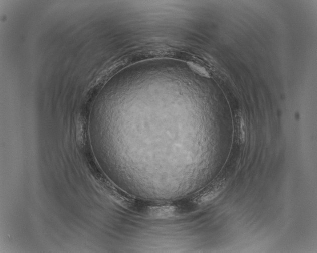 X0000068320266200605051604