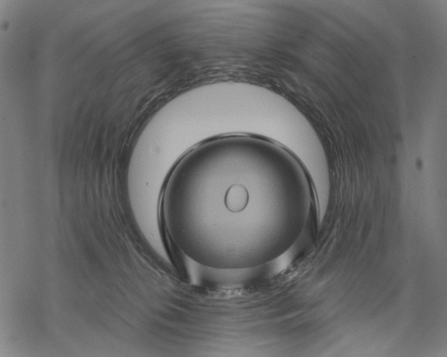 X0000068320276200605051604