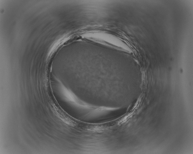 X0000068320293200605051603