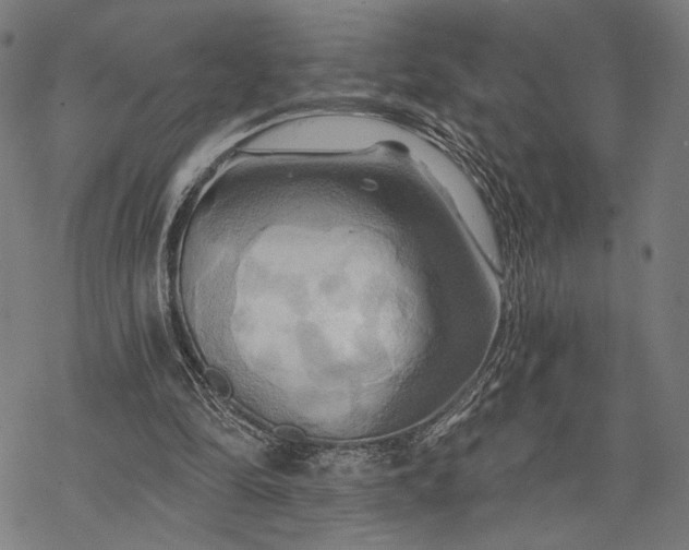 X0000068320294200605051603