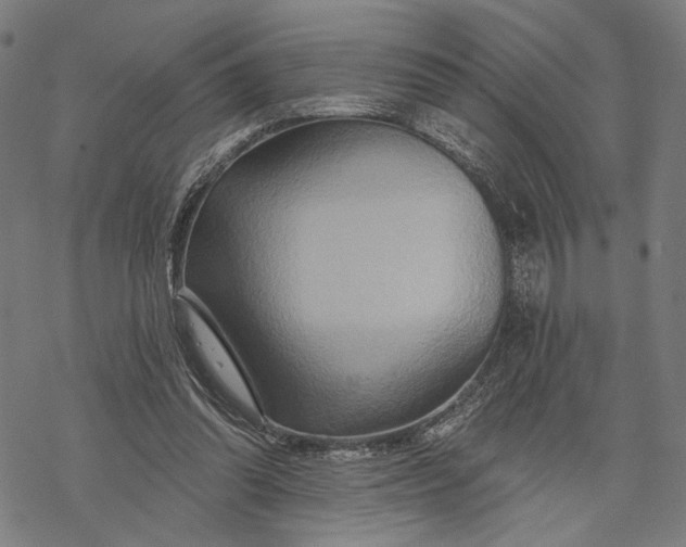 X0000068320302200605051603