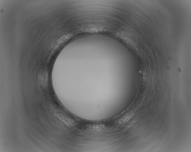 X0000068320304200605051603