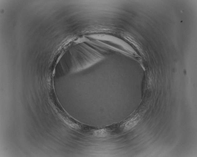 X0000068320309200605051603