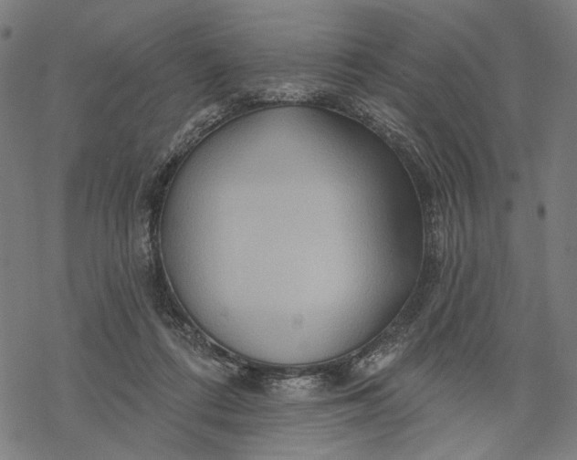 X0000068320312200605051603
