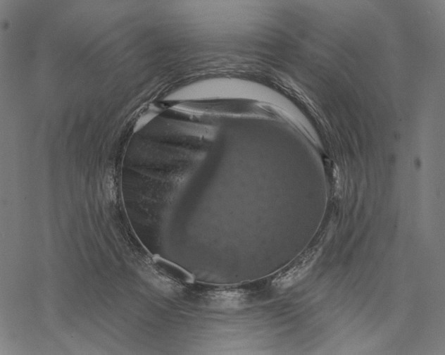 X0000068320313200605051603