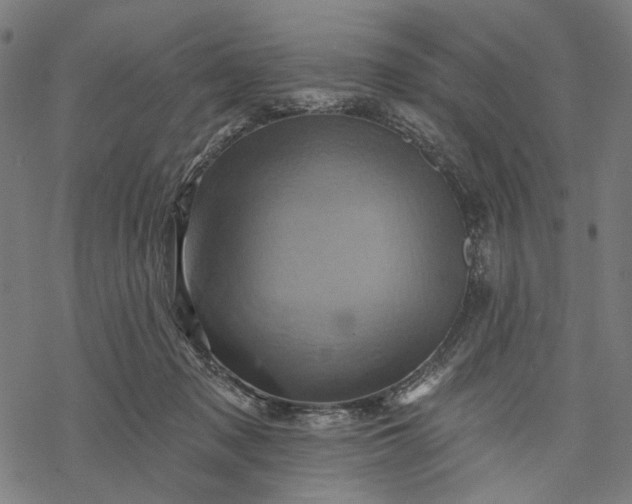 X0000068320317200605051603