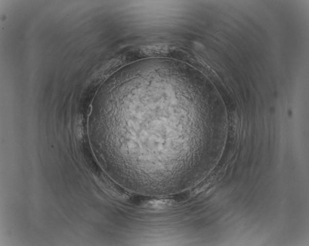 X0000068320323200605051603