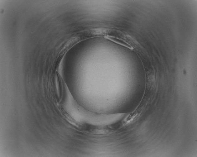 X0000068320325200605051603