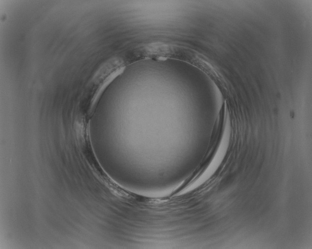 X0000068320333200605051603