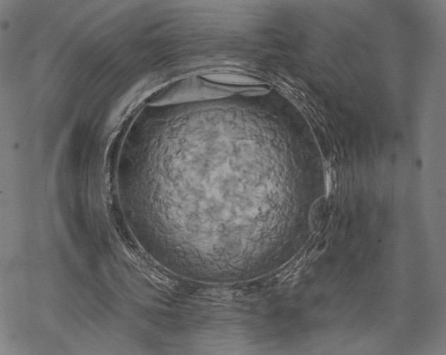 X0000068320339200605051602