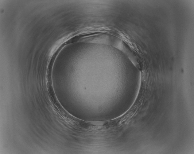 X0000068320340200605051602