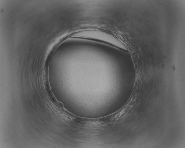 X0000068320342200605051602