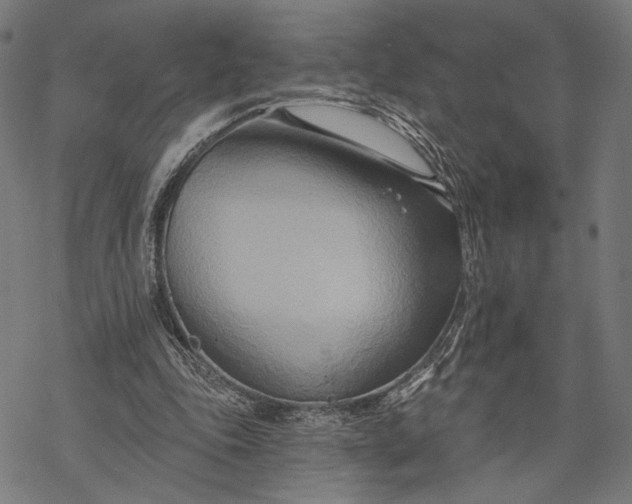 X0000068320343200605051602
