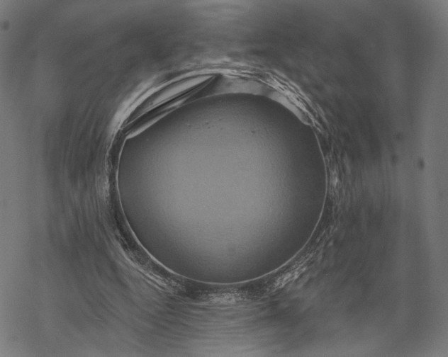 X0000068320344200605051602