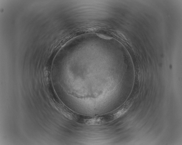 X0000068320366200605051602
