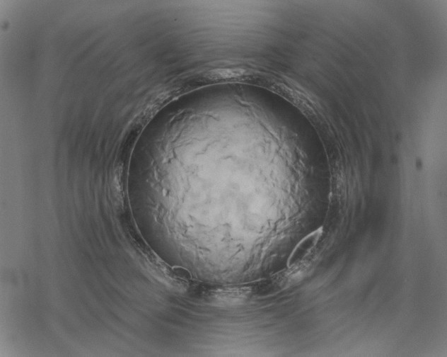 X0000068320373200605051602