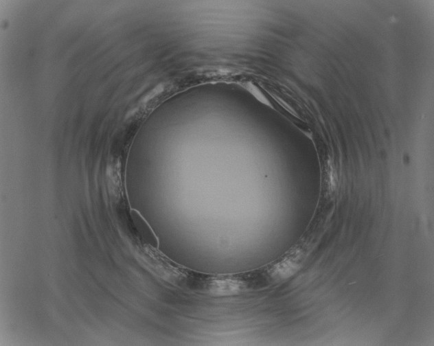 X0000068320376200605051602