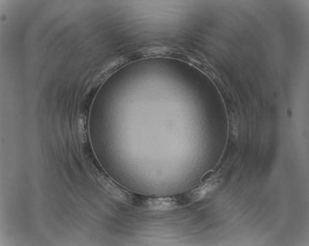 X0000068320378200605051603