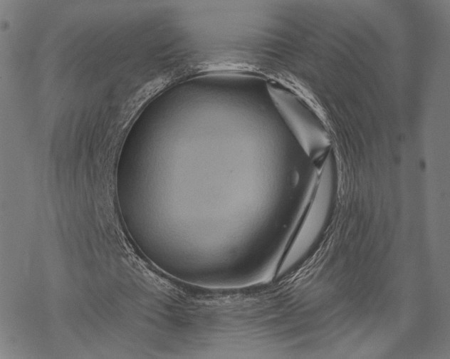 X0000068320385200605051602