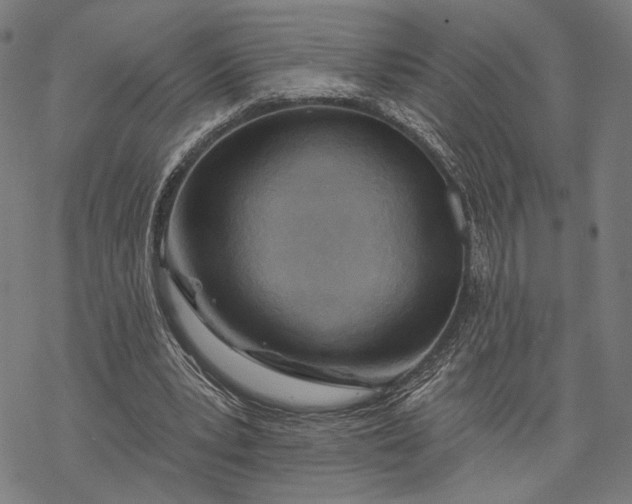 X0000068320391200605051602