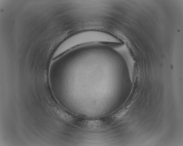 X0000068320401200605051602