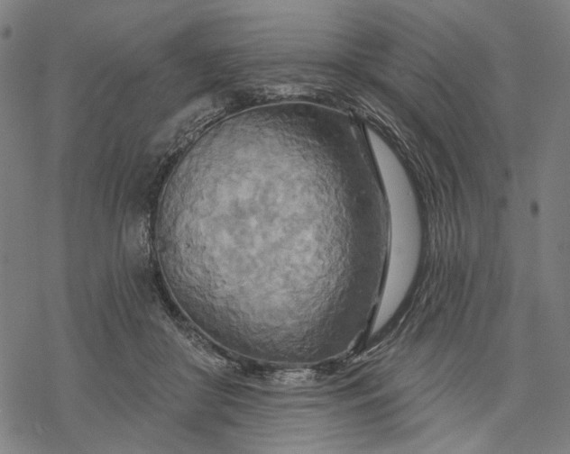 X0000068320410200605051601